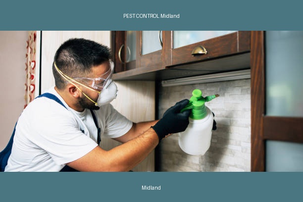 PEST CONTROL Midland